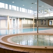wellness